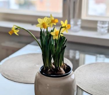 Kemi Apartment | 18 - Cozy apartment with view, top 7th floor