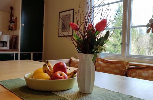 Filipstad Apartment | Viol