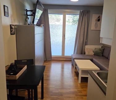 Vossestrand Apartment | "Little Mountain Paradise" studio apartment at Oppheim Resort