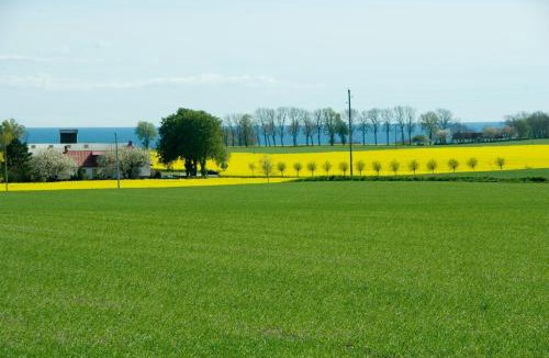 Simrishamn Bed & Breakfast | Skönadal B&B