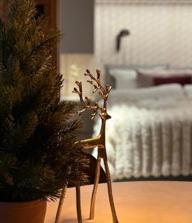 Rovaniemi House | Luxury City Cottage