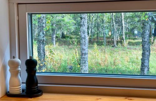 Gallivare Villa | House on Dundret