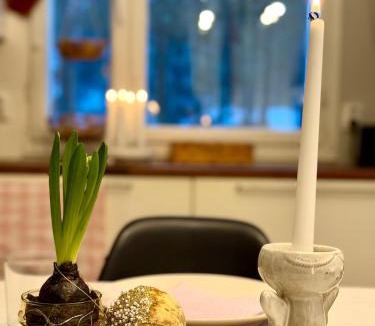 Rovaniemi Villa | Artists House