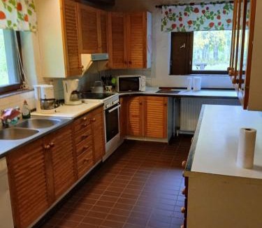 Rautjarvi Apartment | Gasthause