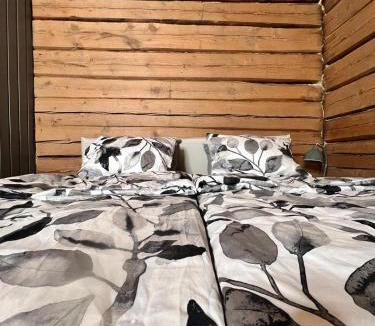 Yllasjarvi House | Kotkanpesä