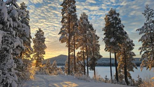 Rusksele Cabin | Fiskecamp Rusksele