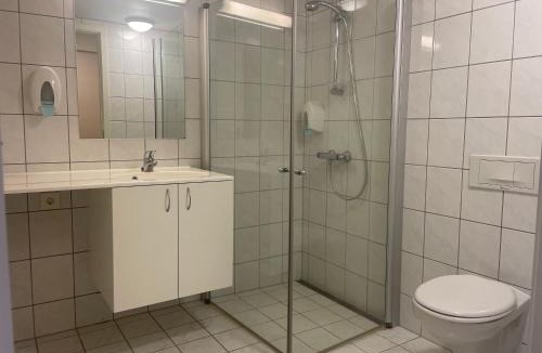 Beitostolen Apartment | Sentral, Hc-Friendly Apartment