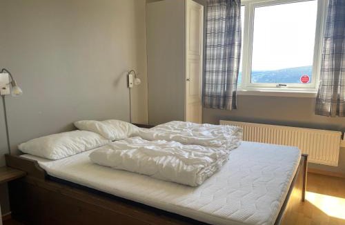Beitostolen Apartment | Stor Toppleilighet I Sentrum
