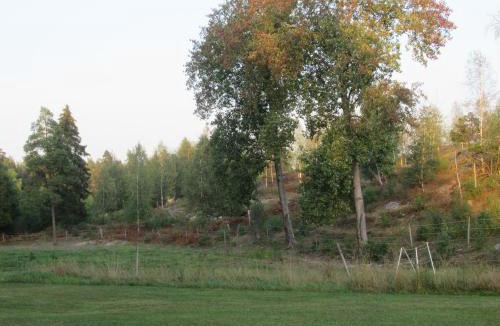Jarna Cabin | Stuga med bastu i naturen nära Stockholm