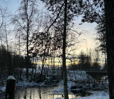 Aanekoski Ski Chalet | Riverside Cottage Äänekoski Sauna Hot Tub Northern Lights