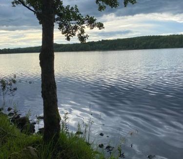 Orkelljunga Other | Lärkan