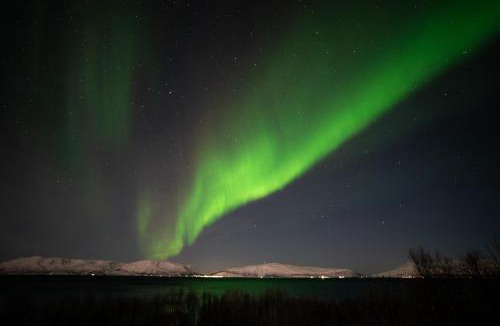 Lyngen Other | Countryside Tromsø- Cozy glass- roof cabins- Aurora wonderland