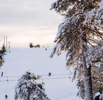 Overbyn Cabin | Hovfjällstoppens Stugby