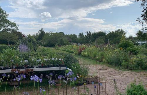 Farjestaden House | 10 person holiday home in Färjestaden