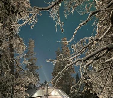 Pohjois-Lappi Resort | Aurora Queen Resort Igloos