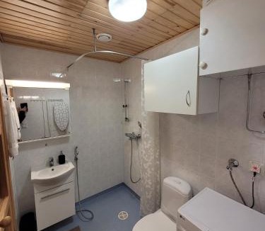 Ruka Apartment | Studio from Downtown with Sauna
