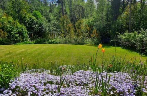 Hagfors House | Okidoki huset med wellness