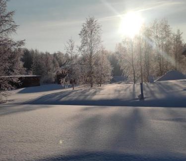 Rovaniemi Villa | Villa Pajunkissa with Jacuzzi and Sauna
