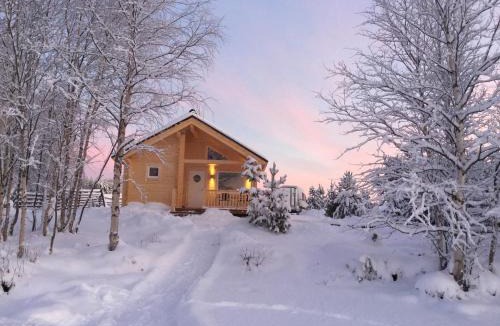 Inari House | Nellim Holiday Home, Sámi Village