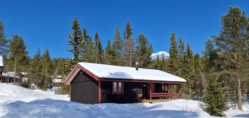 Lofsdalen House | Sauna | Wi-Fi | Terrace | Wood stove | Cable TV