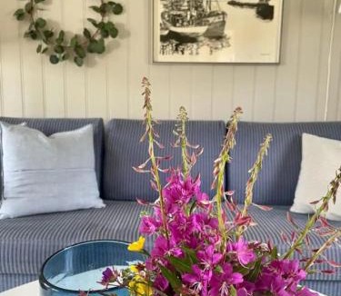 Fredvang House | Fredvang holiday house, Lofoten