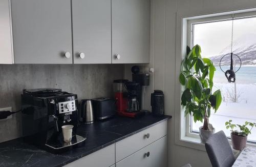Nord-Lenangen Apartment | Feriehuset Holmen