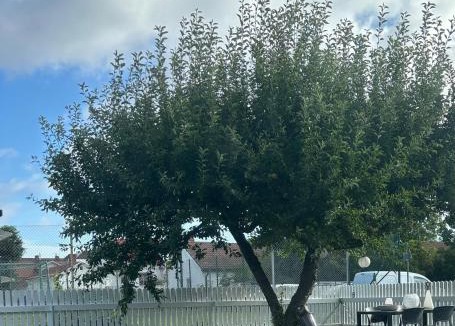Borgholm Apartment | Villa Park lgh