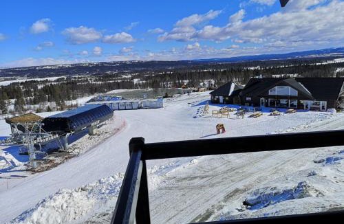 Golsfjellet Apartment | Cozy apartment with ski inn - ski out on Golsfjellet