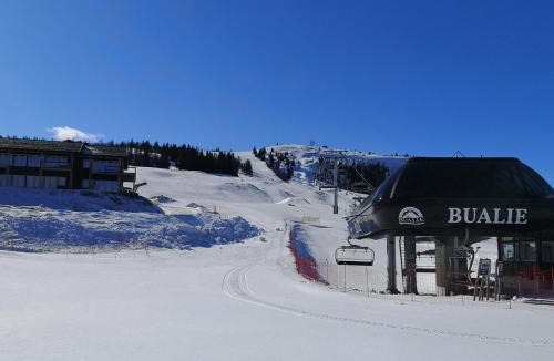 Golsfjellet Apartment | Cozy apartment with ski inn - ski out on Golsfjellet
