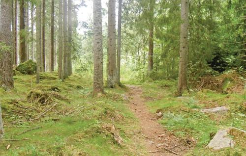 Ryd House | Pet Friendly Home In Ryd With Sauna