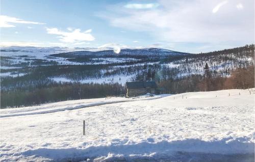 Uvdal House | Tallåsen Dagalifjell