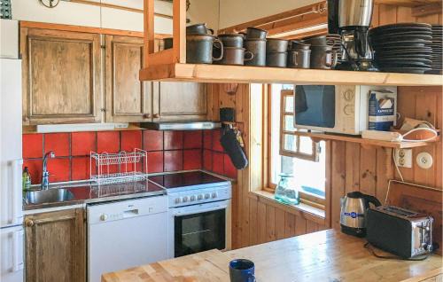Lofsdalen House | Lovely Home In Lofsdalen With Kitchen