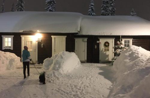 Salen Cabin | Gula Byn 411A