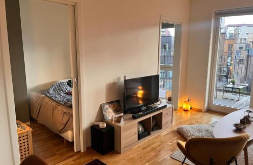 Trondheim Apartment | Seagull Holiday& Businnes Apartment