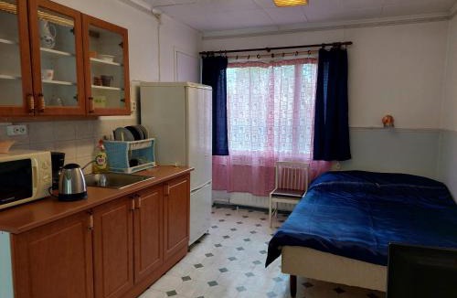 Rautjarvi House | Lana Guest house