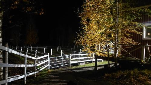 Mikkeli Apartment | BB Polle - with the horse view