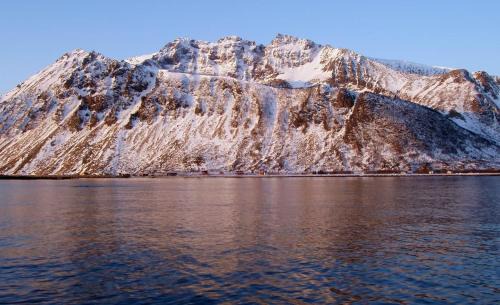 Bostad House | Villa Lofoten - The Steamery