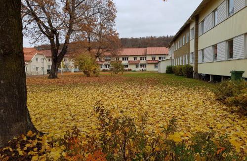 Huskvarna House | Huskvarna Hotell & Vandrarhem