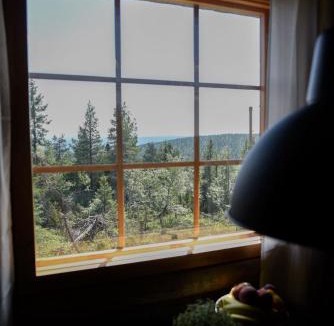 Syote House | Kurmitta