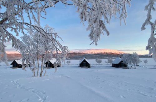 Kilpisjarvi Resort | Arctic Land Adventure Glass Igloos