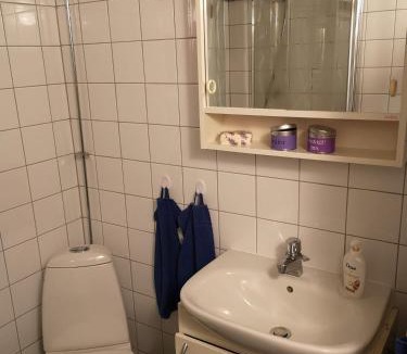 Boras Municipality House | Torpet Norra Lundåsen