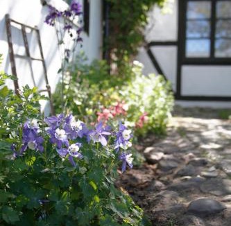 Tollarp Bed & Breakfast | Årröds Boställe