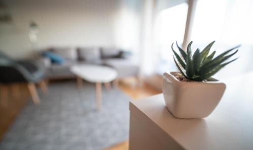 Tranoy Municipality Apartment | Destination Senja - Stonglandseidet
