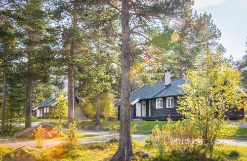 Geilo Ski Chalet | Geilolia Hyttetun