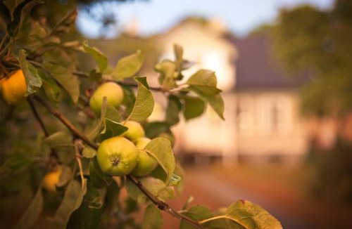 Visby Bed & Breakfast | Three Pheasants Boutique Bed and Breakfast