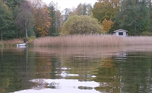 Grabo Villa | Björboholm