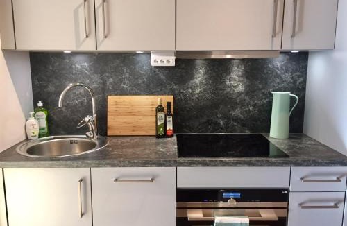 Ladugardsgardet Apartment | Central Stockholm 2 bedroom & FREE AIRPORT PICK UP