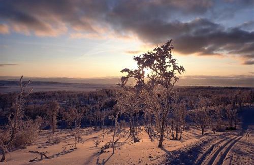 Vestre Jakobselv Bed & Breakfast | Varangertunet bed & breakfast