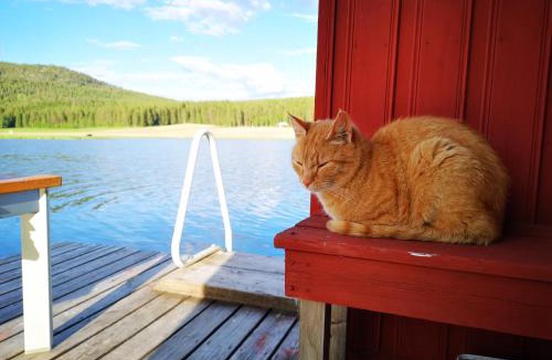 Alvsbyn Cabin | Skatauddens Lantgård