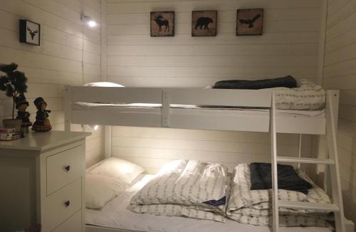Jukkasjarvi Cabin | Camp Caroli Wooden Cabins